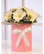 Beyaz Büyülü Gerbera Kutuda